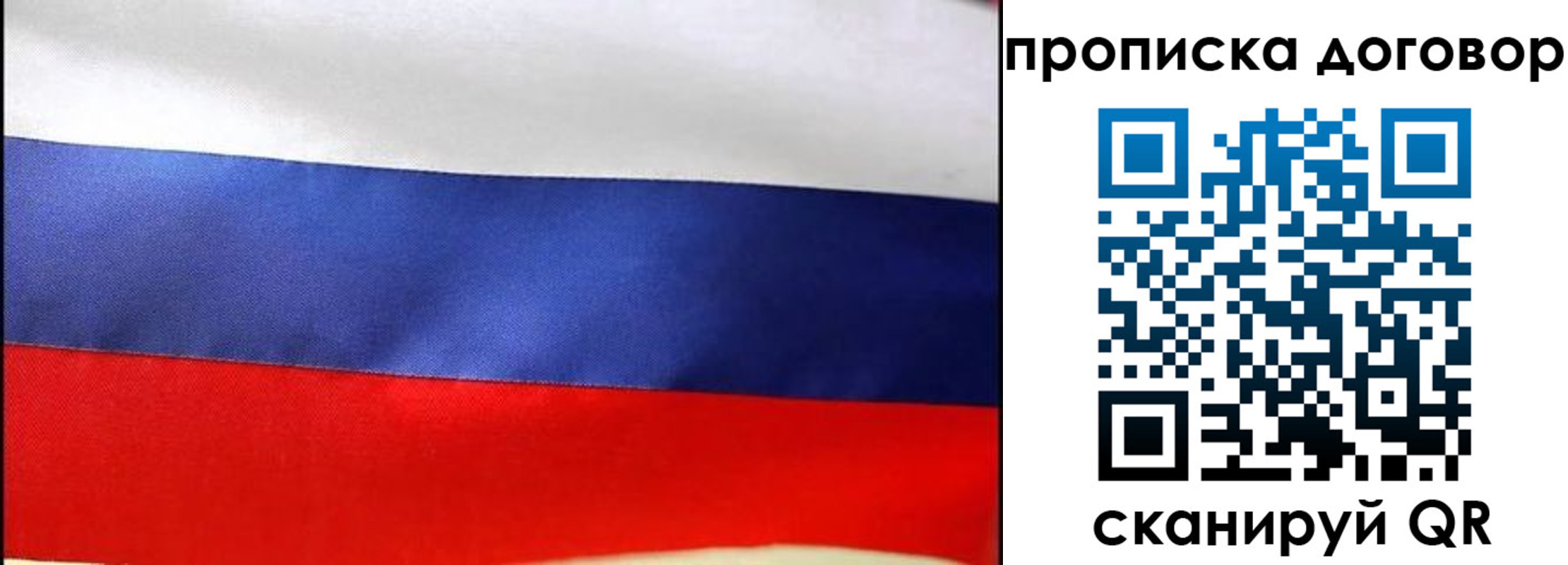 прописка гарантия в Курчатове
